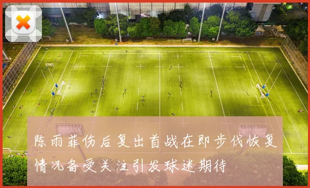 陈雨菲伤后复出首战在即步伐恢复情况备受关注引发球迷期待